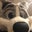 Asic Fox's profile image