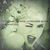 Kim Akins's profile image