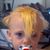 Jeremy Whenry's profile image