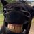 Philip Watson's profile image