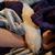 Debi L Denter's profile image