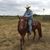 Dave Pfeffer's profile image