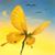 Karen Palin's profile image