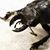 Nicholas Gerner's profile image