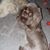 Renee Whelpley's profile image