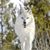 Janice Achimon's profile image