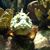 Judith Thesling-tucholski's profile image