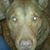 Keith Linzmeyer's profile image