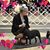 Margaret Restuccia's profile image