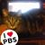 Linda Mills's profile image