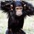 Lee Phillips's profile image