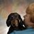 Patricia Clark Nelson's profile image