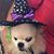 Cheryl Young's profile image