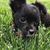Kim Flanagan's profile image