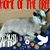 Karen M Streetman's profile image