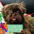 Marie Ayers's profile image