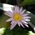 Katy Keene's profile image