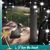 Bess Shane's profile image