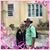 Maryann Kevin Pettis's profile image