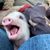 Carrie Martin-Vance's profile image