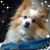 Jessica Rogers Armstrong's profile image