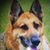 Pavlina Hull-Mazurek's profile image