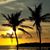 Sandy Kovacs Greenwood's profile image