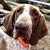 Sudie Garth Burnette's profile image