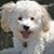 Melony Moore Berryman's profile image