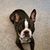 Sarah Knoblauch's profile image