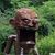 Bill Munley's profile image