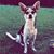 Kevin Albie's profile image