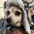Elizabeth R Pezzillo's profile image