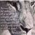 Geri Shaheen's profile image
