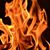 Joelle Peardon's profile image