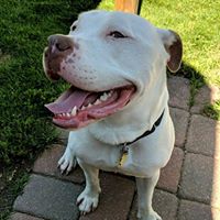 Dan Clancey's profile image