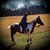 Kim Harnish's profile image