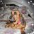 Elaine Newland's profile image
