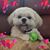 Vivian Stupp's profile image