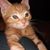 Joan Watts-Lubey's profile image