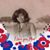Anna Delacruz - Diaz's profile image