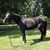 Richard Garber's profile image