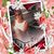 Theresa Risso's profile image