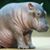 Alan Soh's profile image