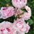 Kathryn Binks Filbey's profile image