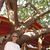 Laurie Gogic's profile image