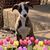 Donna Bennett's profile image