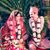Sylvia Shrestha's profile image