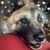 Tera Bird Fullbright's profile image