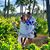 Paulina Valdez's profile image